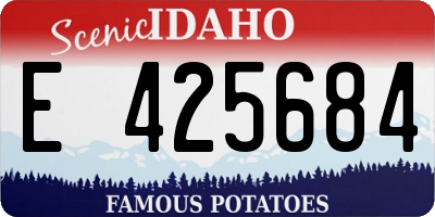 ID license plate E425684
