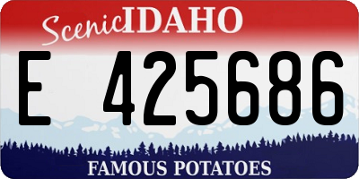 ID license plate E425686