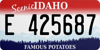 ID license plate E425687