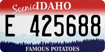 ID license plate E425688