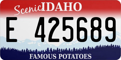 ID license plate E425689
