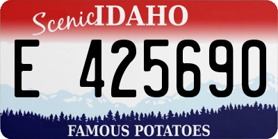 ID license plate E425690