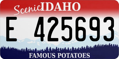 ID license plate E425693