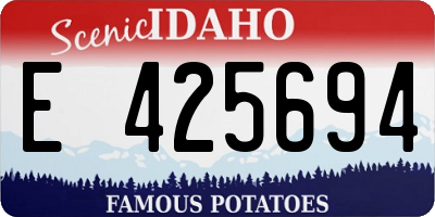 ID license plate E425694