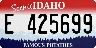ID license plate E425699