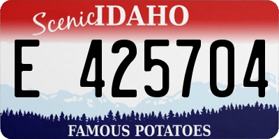 ID license plate E425704