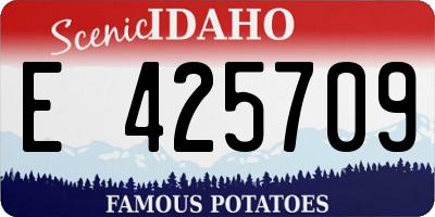 ID license plate E425709