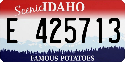 ID license plate E425713