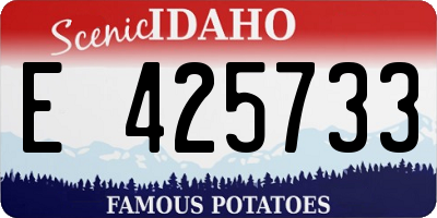 ID license plate E425733