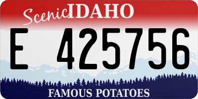 ID license plate E425756