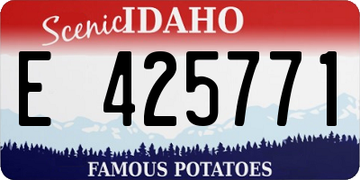 ID license plate E425771