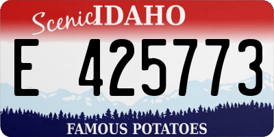 ID license plate E425773