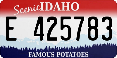 ID license plate E425783