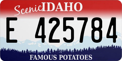 ID license plate E425784
