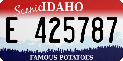 ID license plate E425787