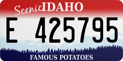 ID license plate E425795