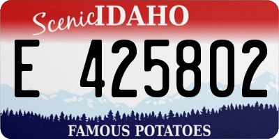 ID license plate E425802