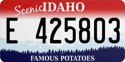 ID license plate E425803