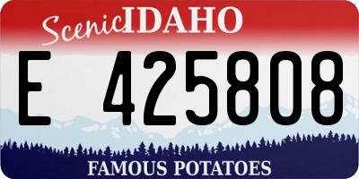 ID license plate E425808
