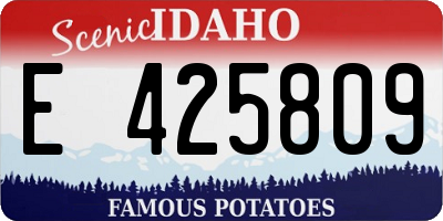 ID license plate E425809