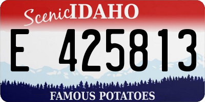 ID license plate E425813