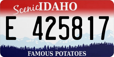 ID license plate E425817