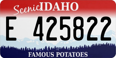 ID license plate E425822