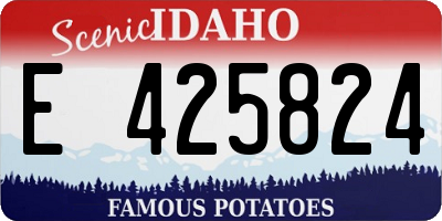 ID license plate E425824