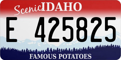 ID license plate E425825