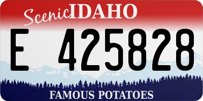 ID license plate E425828