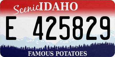 ID license plate E425829