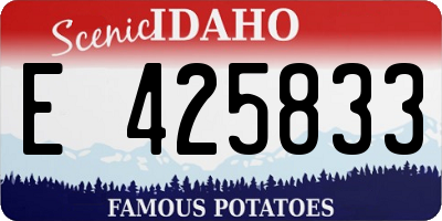 ID license plate E425833