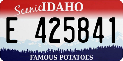 ID license plate E425841