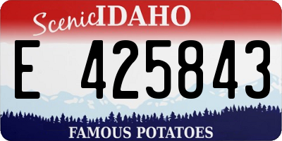 ID license plate E425843
