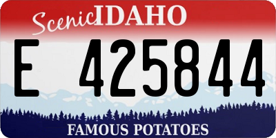 ID license plate E425844