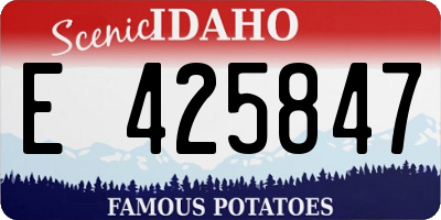 ID license plate E425847