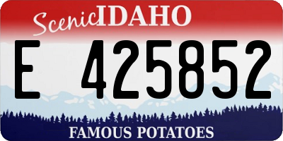 ID license plate E425852