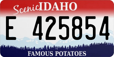 ID license plate E425854