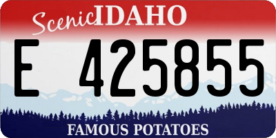 ID license plate E425855