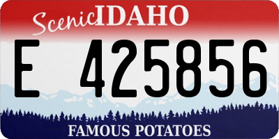 ID license plate E425856