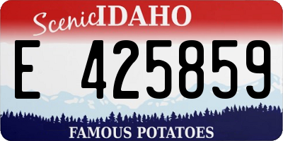 ID license plate E425859