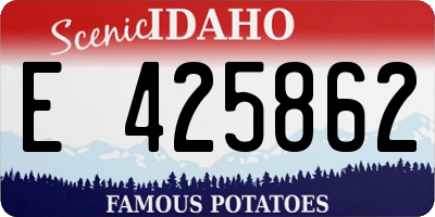 ID license plate E425862