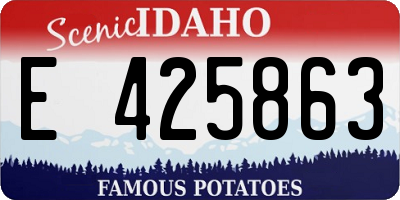 ID license plate E425863