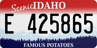 ID license plate E425865