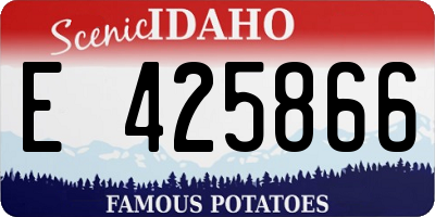 ID license plate E425866