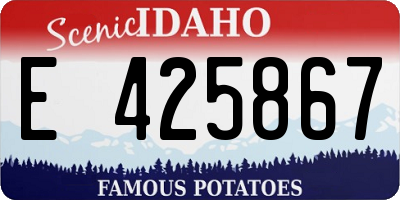 ID license plate E425867