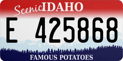 ID license plate E425868