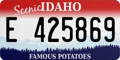 ID license plate E425869