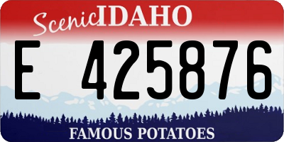 ID license plate E425876
