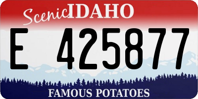 ID license plate E425877